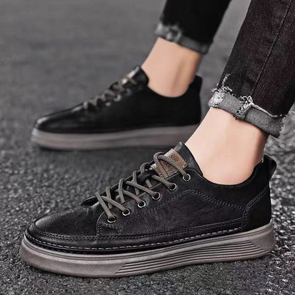 Men's Shoes Spring New Versatile Black Casual Leather